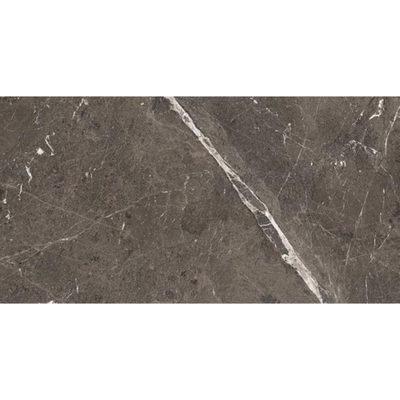 Douglas Jones Magnum Carrelage sol et mur 60X120cm rectifié Brown Mat