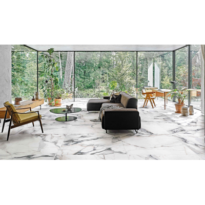 Ceralto Alabro Vein carrelage sol et mur 60X60cm rectifié Argent Mat