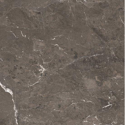 Ceralto Alabro Vein Carrelage de sol - 120x120cm - 6.0mm - rectifié - Brun