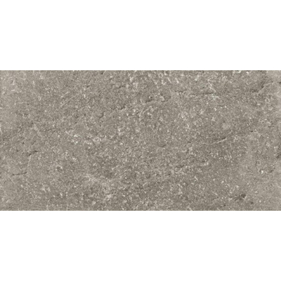 SAMPLE Ceralto Divaro Plank Vloertegel 400X800 Grey 9.5Mm Mat Ret.R10