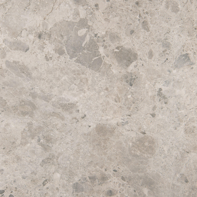 Ragno Eterna Vloertegel - 100x100cm - 8.5mm - gerectificeerd - Gris