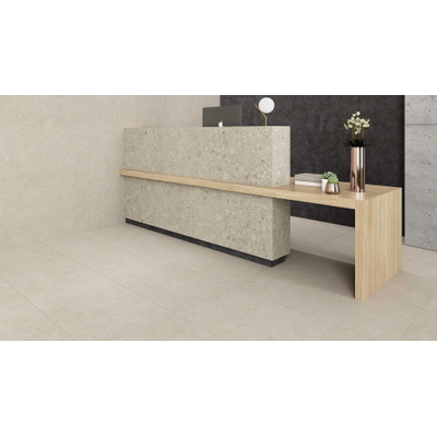 Ceralto Ravina Slate Carrelage de sol - 60x60cm - 9.0mm - rectifié - Artic