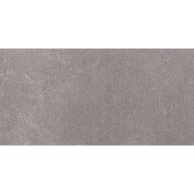 SAMPLE Ceralto Elvano Accent Vloertegel 300X600 Titan 9.5mm Mat Ret.R10