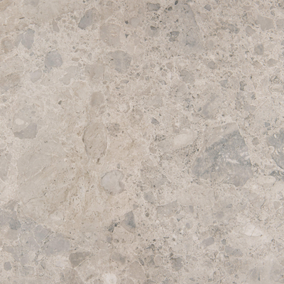 SAMPLE Ragno Eterna Vloer- en wandtegel - 100x100cm - 8.5mm - gerectificeerd - R10 - Mix Gris mat