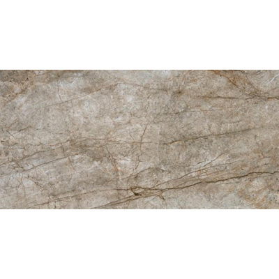 Ceralto Sylvaro Studio Carreau de sol - 60x120cm - 10.0mm - rectifié - Natural