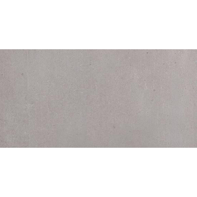 SAMPLE Ceralto Elvano Accent Vloertegel 300X600 Titan 9.5mm Mat Ret.R10