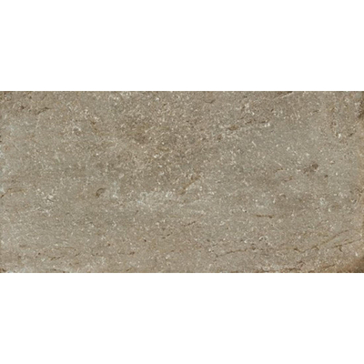 Ceralto Divaro Plank Vloertegel - 40x80cm - 9.5mm - gerectificeerd - Taupe