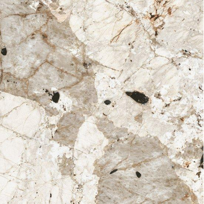 Douglas Jones Magnum carreau de sol et de mur 120X120cm rectifié Tundra Mat