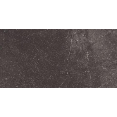 ÉCHANTILLON Ceralto Elmira Plank 300X600 Piazen P3064 Coal