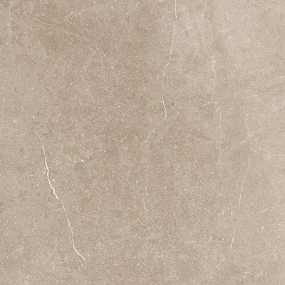 ÉCHANTILLON Ceralto Elmira Plank 450X450 Piazen PE007 Clay