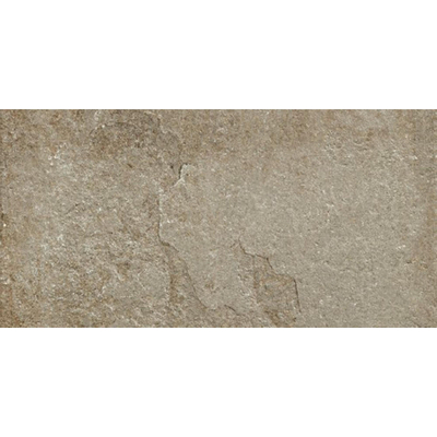 SAMPLE Ceralto Divaro Plank Vloertegel 600X1200 Taupe 9.5Mm Mat Ret.R10