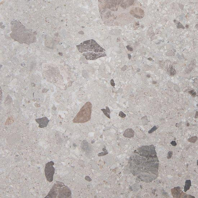 SAMPLE vtwonen Composite 100298 Carreau de sol 600X600 Grey Brown 9mm Mat Ret.R10
