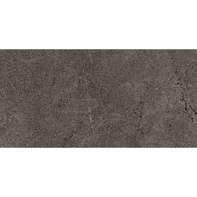 Cercom Archistone Vloertegel - 60x120cm - 9.5mm - gerectificeerd - Dark