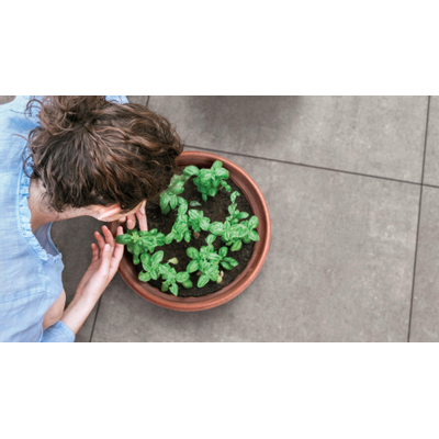 Mirage Nyuma Carrelage mural.300X300 Torching 9mm Mat