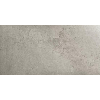 Ceralto Nordico R11 Vloertegel - 60x120cm - 9.5mm - gerectificeerd - Titanio