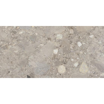 Ceralto Rovere Alto Oak Carreau de sol - 60x120cm - 9.5mm - rectifié - gris