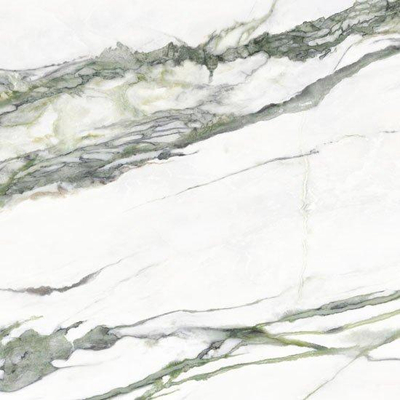 Douglas jones Moods Carrelage de sol et mural - 120X120 - Ep.9mm - rectifié - Marbre - Green Brillant