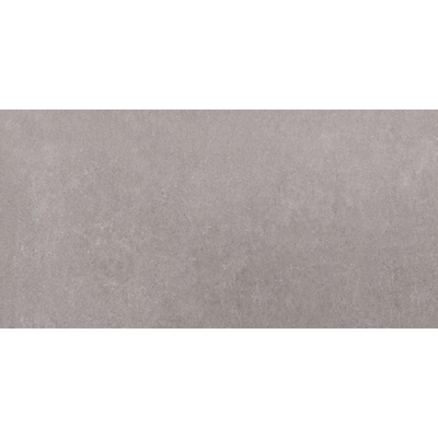SAMPLE Ceralto Elvano Accent Vloertegel 300X600 Titan 9.5mm Mat Ret.R10
