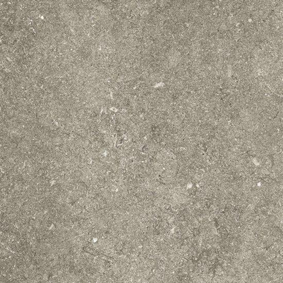 Kronos Le Reverse Vloertegel - 60x60cm - 10.0mm - gerectificeerd - Taupe elegance