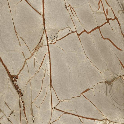 Ceralto Alabro Vein carrelage sol et mur 120X120cm rectifié Rainforest mat
