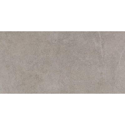 SAMPLE JOS. Disi Vloer- en wandtegel - 30X60cm - 9mm - Rechthoek - gerectificeerd - Porcellanato Grey Mat