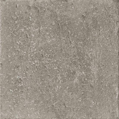 Ceralto Divaro Plank Vloertegel - 60x60cm - 9.5mm - gerectificeerd - Grey