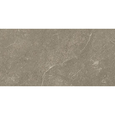 Beste Koop Harmony Carrelage de sol - 30x60cm - 10.0mm - rectifié - taupe