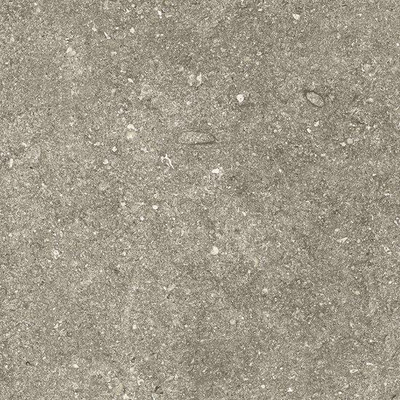 Kronos Le Reverse Vloertegel - 60x60cm - 10.0mm - gerectificeerd - Taupe elegance
