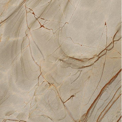 Ceralto Alabro Vein carrelage sol et mur 120X120cm rectifié Rainforest mat