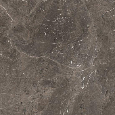 Douglas Jones Magnum carreau de sol et de mur 120X120cm rectifié Brown Mat