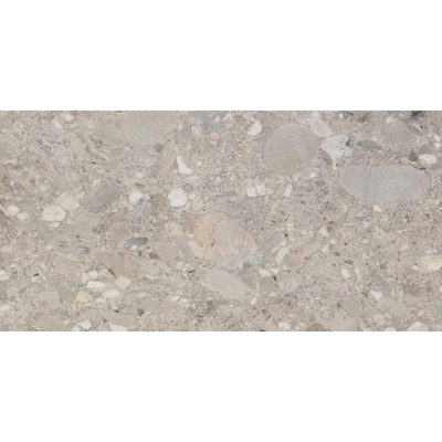 Cercom Ceppo di Gres Vloertegel - 30x60cm - 9.5mm - gerectificeerd - Grigio