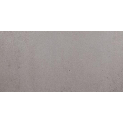 SAMPLE Ceralto Elvano Accent Vloertegel 300X600 Titan 9.5mm Mat Ret.R10