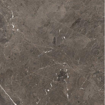 Douglas Jones Magnum carreau de sol et de mur 120X120cm rectifié Brown Mat