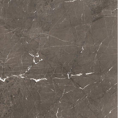 Ceralto Alabro Vein Vloertegel - 120x120cm - 6.0mm - gerectificeerd - Brown
