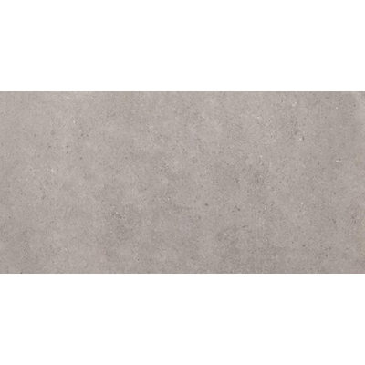 Ceralto Acerno Plank Carrelage de sol - 60x120cm - 9.5mm - rectifié - Grey