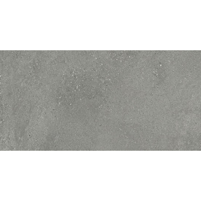 SAMPLE Ceralto Zavira Wood Vloer- en wandtegel 30x60cm Mat Grijs
