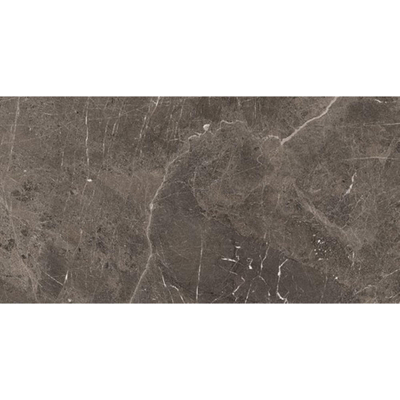 Douglas Jones Magnum carreau de sol et de mur 60X120cm rectifié Brown Mat