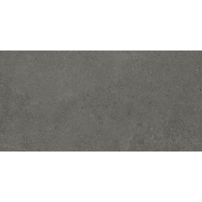 Jos. Lunar Carreau de sol et de mur 30x60cm Mat Anthracite