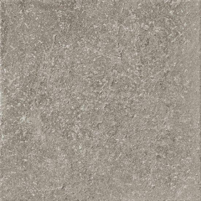 SAMPLE Ceralto Divaro Plank Vloertegel 600X600 Grey 9.5Mm Mat Ret.R10