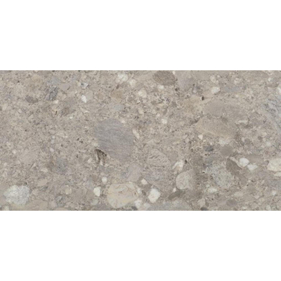 Ceralto Rovere Alto Oak Carreau de sol - 60x120cm - 9.5mm - rectifié - gris