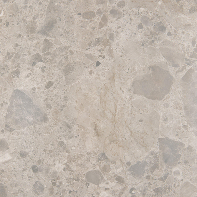 Ragno Eterna Carrelage de sol et mural - 100x100cm - 8.5mm - rectifié - R10 - Mix Gris mat