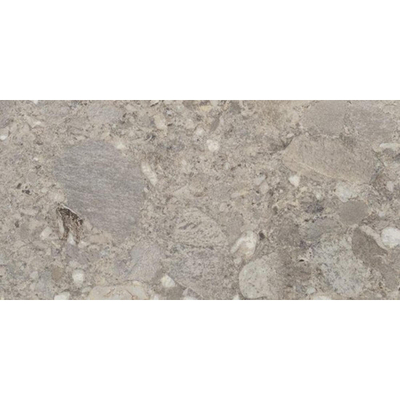 Cercom Ceppo di Gres Vloertegel - 30x60cm - 9.5mm - gerectificeerd - Grigio