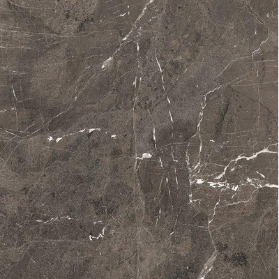 Douglas Jones Magnum carreau de sol et de mur 120X120cm rectifié Brown Mat