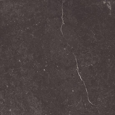 ÉCHANTILLON Ceralto Elmira Plank 600X600 Piazen P6074 Coal
