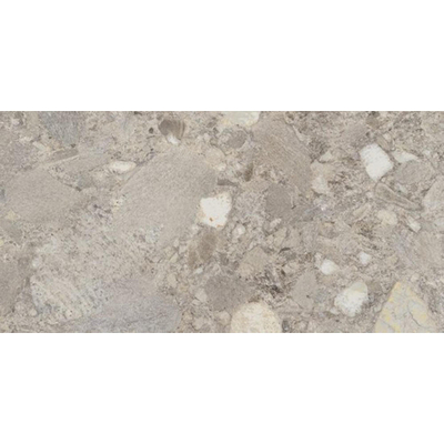 Cercom Ceppo di Gres Vloertegel - 30x60cm - 9.5mm - gerectificeerd - Grigio