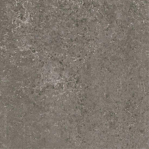 ÉCHANTILLON Ceralto Nordico R11 Carrelage de sol - 60x60cm - 9.5mm - rectifié - Anthracite SW914475