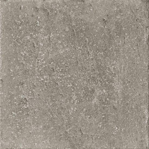 SAMPLE Ceralto Divaro Plank Vloertegel - 80x80cm - 9.5mm - gerectificeerd - Grey SW912671