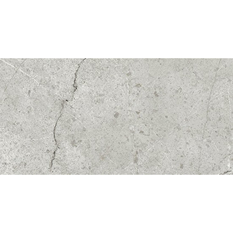 Ceralto Cemento Alto Concrete Carreau de sol - 30x60cm - 10.0mm - rectifié - gris SW928445