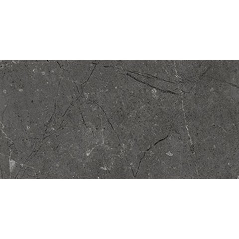 Ceralto Cemento Alto Concrete Carreau de sol - 30x60cm - 10.0mm - rectifié - Noir SW955724