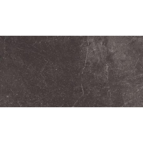 ÉCHANTILLON Ceralto Elmira Plank 300X600 Piazen P3064 Coal SW1122926